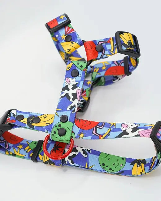Holy Cow harness on its own