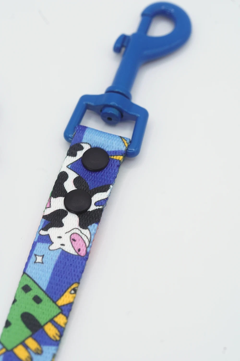Close-up of the metal clip and printed webbing on a Holy Cow dog lead