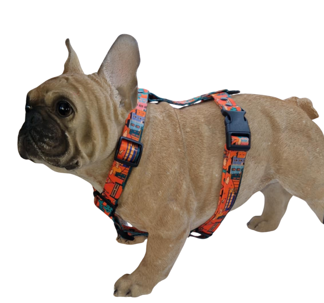 Cheers Drive Y-Shaped Dog Harness