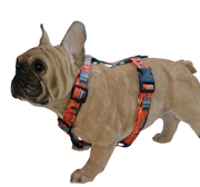 Cheers Drive HARNESS