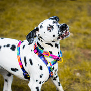 80s Icon COLLAR - Mind The Fluff