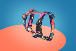 80s Icon HARNESS - Mind The Fluff