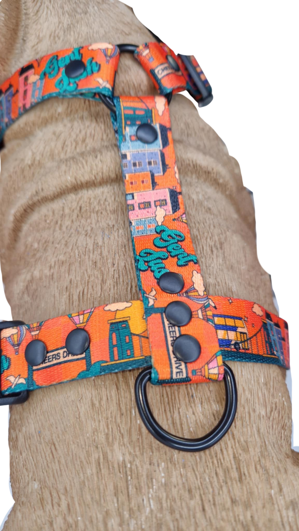 Back view of a Cheers Drive harness showing adjustable straps and metal D-ring on a dog mannequin