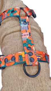 Cheers Drive HARNESS