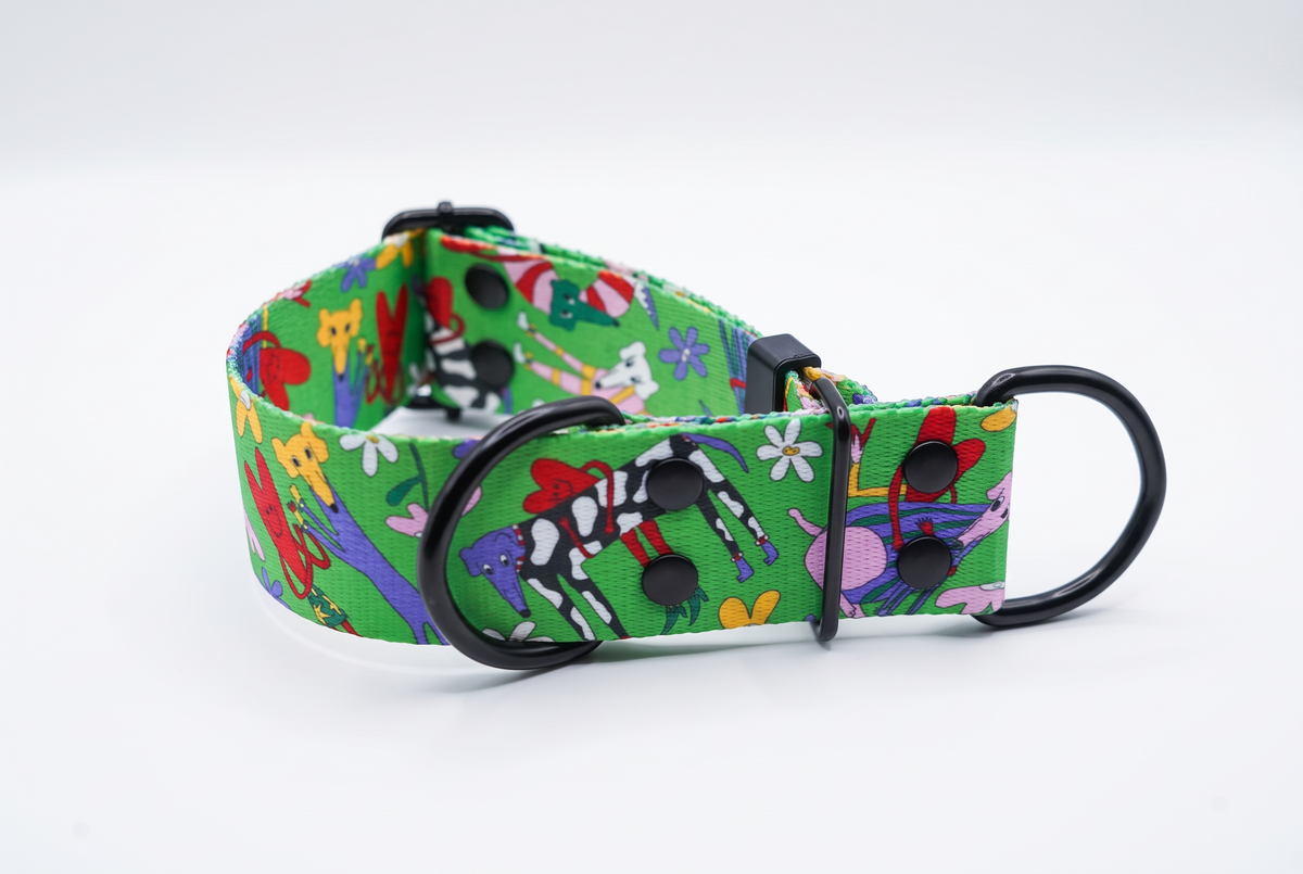 Green Oopsie Daisy martingale collar for greyhounds and whippets, with black D-rings and Juani Bengali long dog print