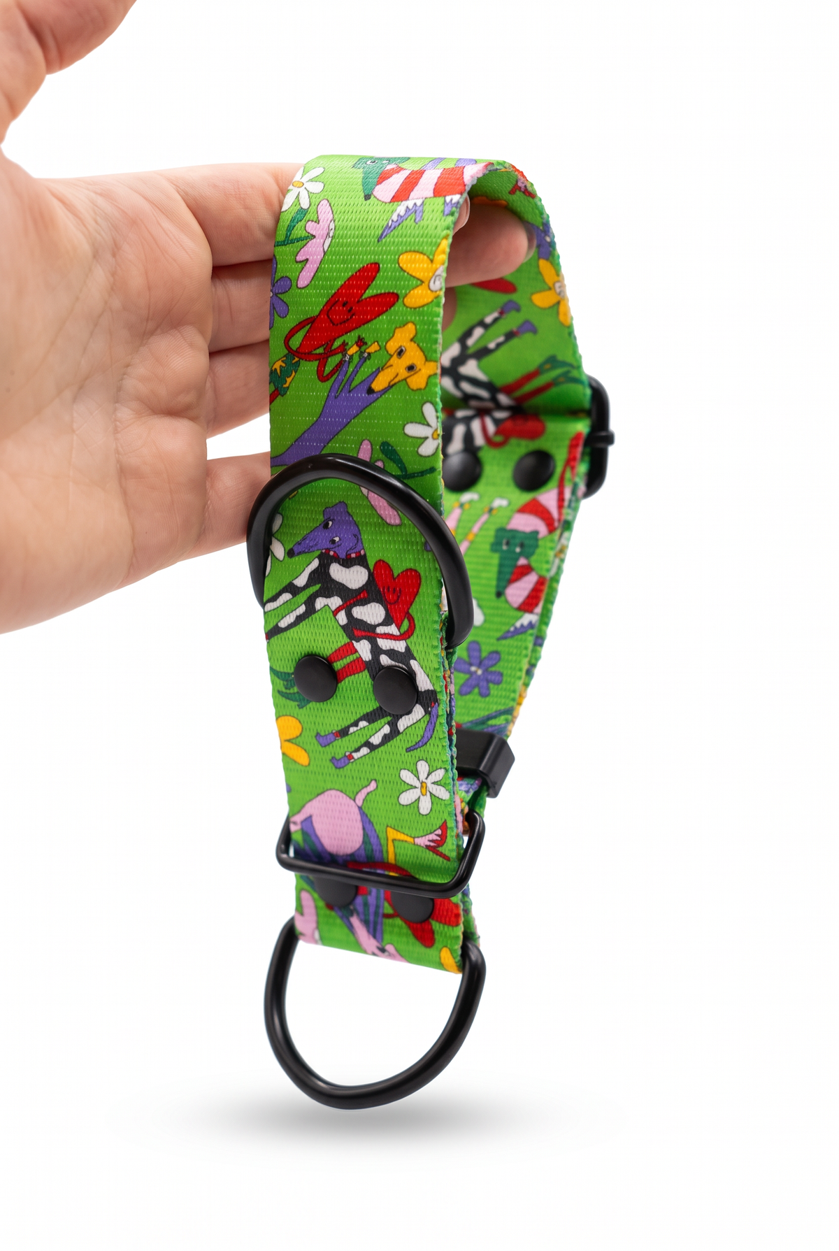 Close-up of the Oopsie Daisy martingale collar: greyhounds in stripy jumpers and daisies on green webbing, black buckle