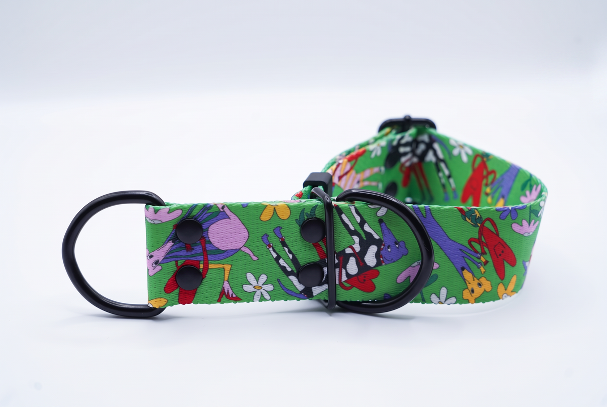 Oopsie Daisy sighthound martingale collar by Juani Bengali, cow-print whippet and daisies on green, black hardware