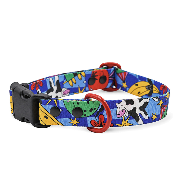 Holy Cow! Collar on a white background