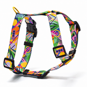 Kaleidogscope HARNESS