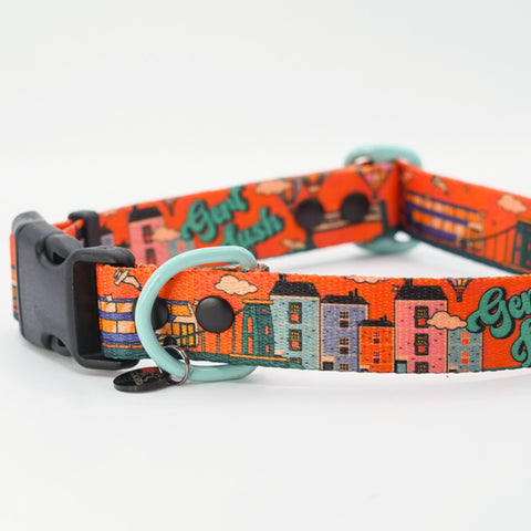 Cheers Drive dog collar
