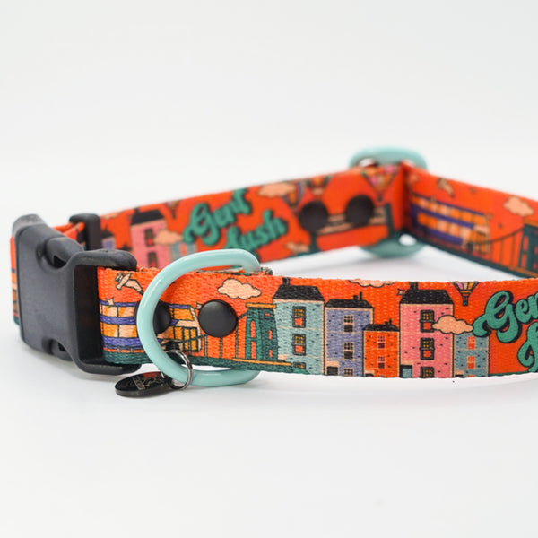 Cheers Drive orange dog collar with Bristol houses, a black buckle and metal D-ring