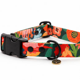 Loud and Proud DOG COLLAR