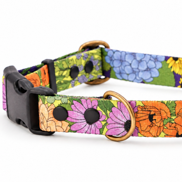 Let It Grow floral dog collar with pink, purple and orange flowers and a gold-coloured D-ring