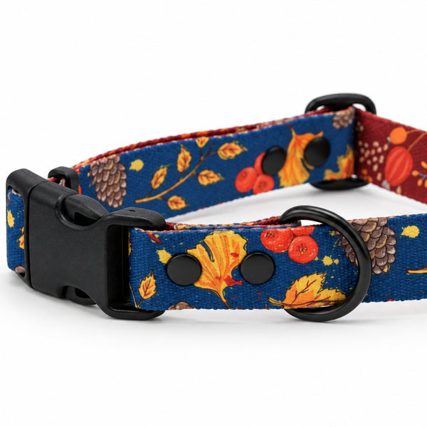 Unbe-leaf-able navy autumn dog collar with orange leaves and pine cones