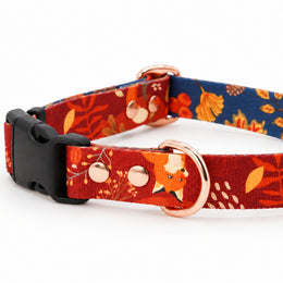 What The Fox?! COLLAR