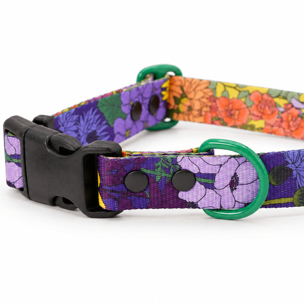 Once and Floral purple dog collar with floral print, black buckle and green D-ring