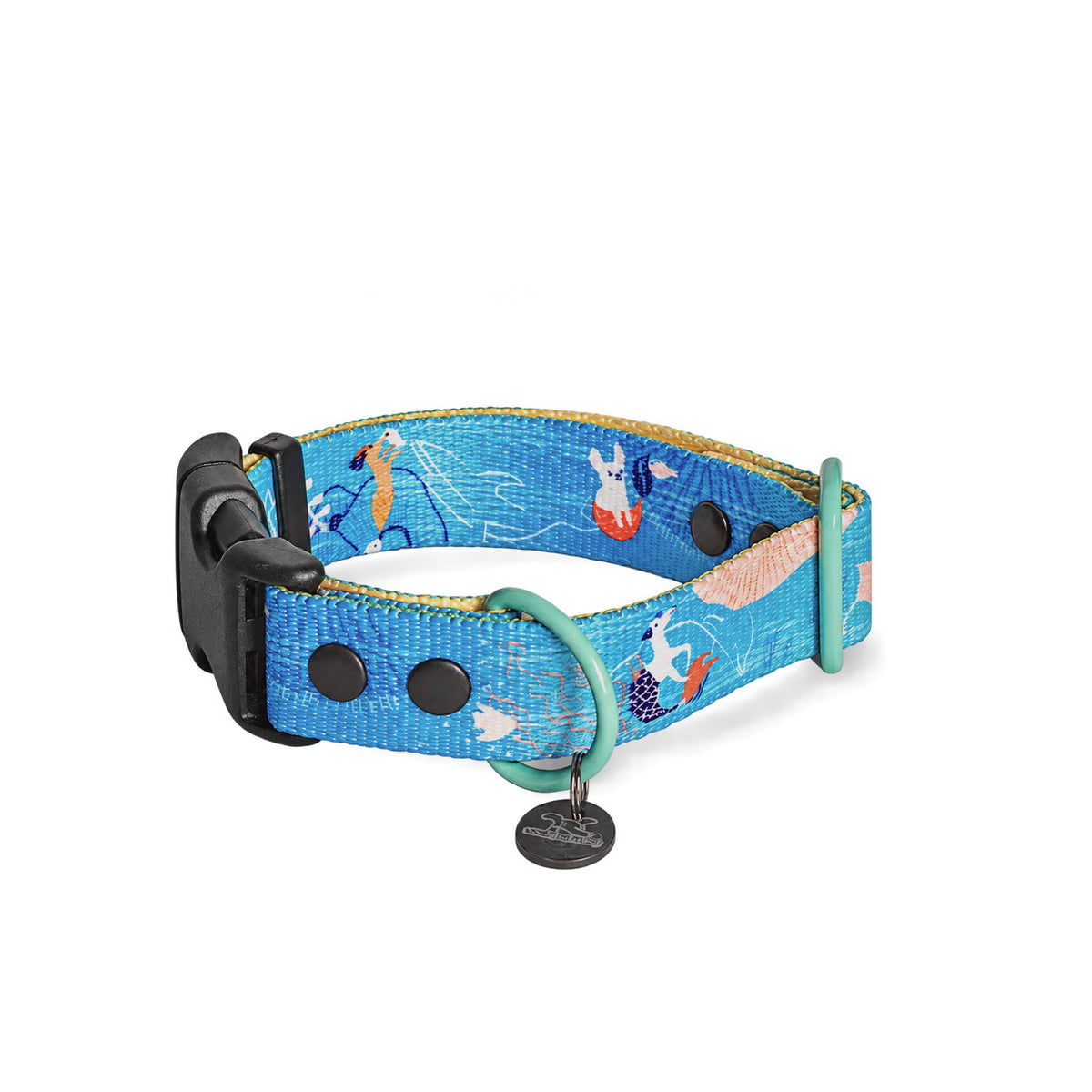 Beach Walk Dog Collar