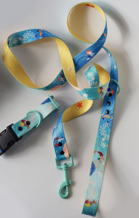Beach Walk turquoise dog lead and matching collar with seaside print