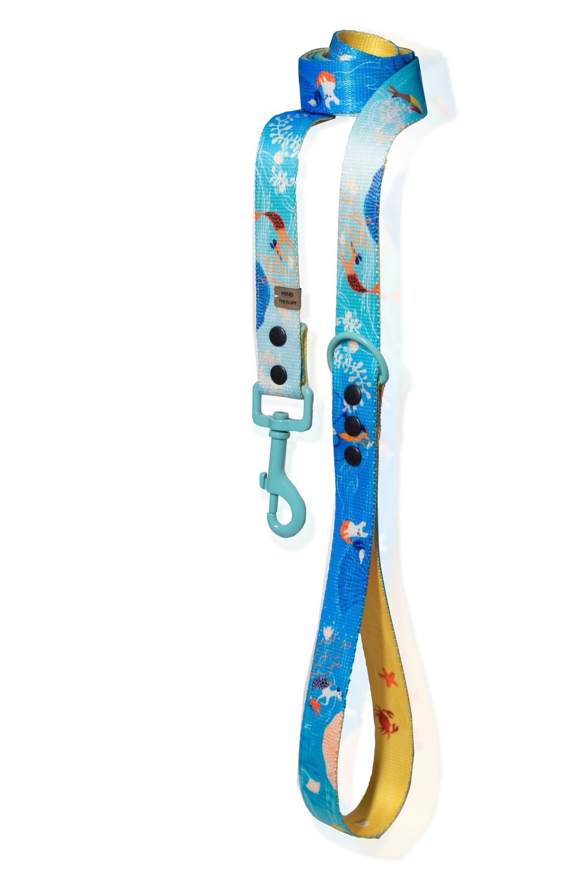 Beach Walk Dog Lead