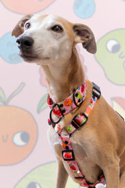 Sweet Tooth HARNESS 