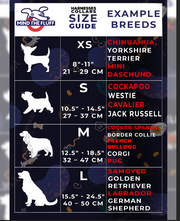 Spacedogs 2.0 HARNESS