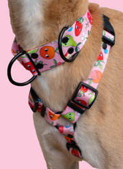 Sweet Tooth MARTINGALE COLLAR 