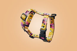 Wet Nose, Warm Heart HARNESS