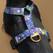 Once And Floral HARNESS