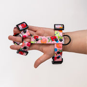 Sweet Tooth HARNESS 
