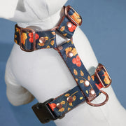 Unbe-leaf-able! HARNESS