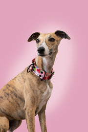 Sweet Tooth MARTINGALE COLLAR 