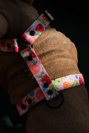 Sweet Tooth HARNESS 