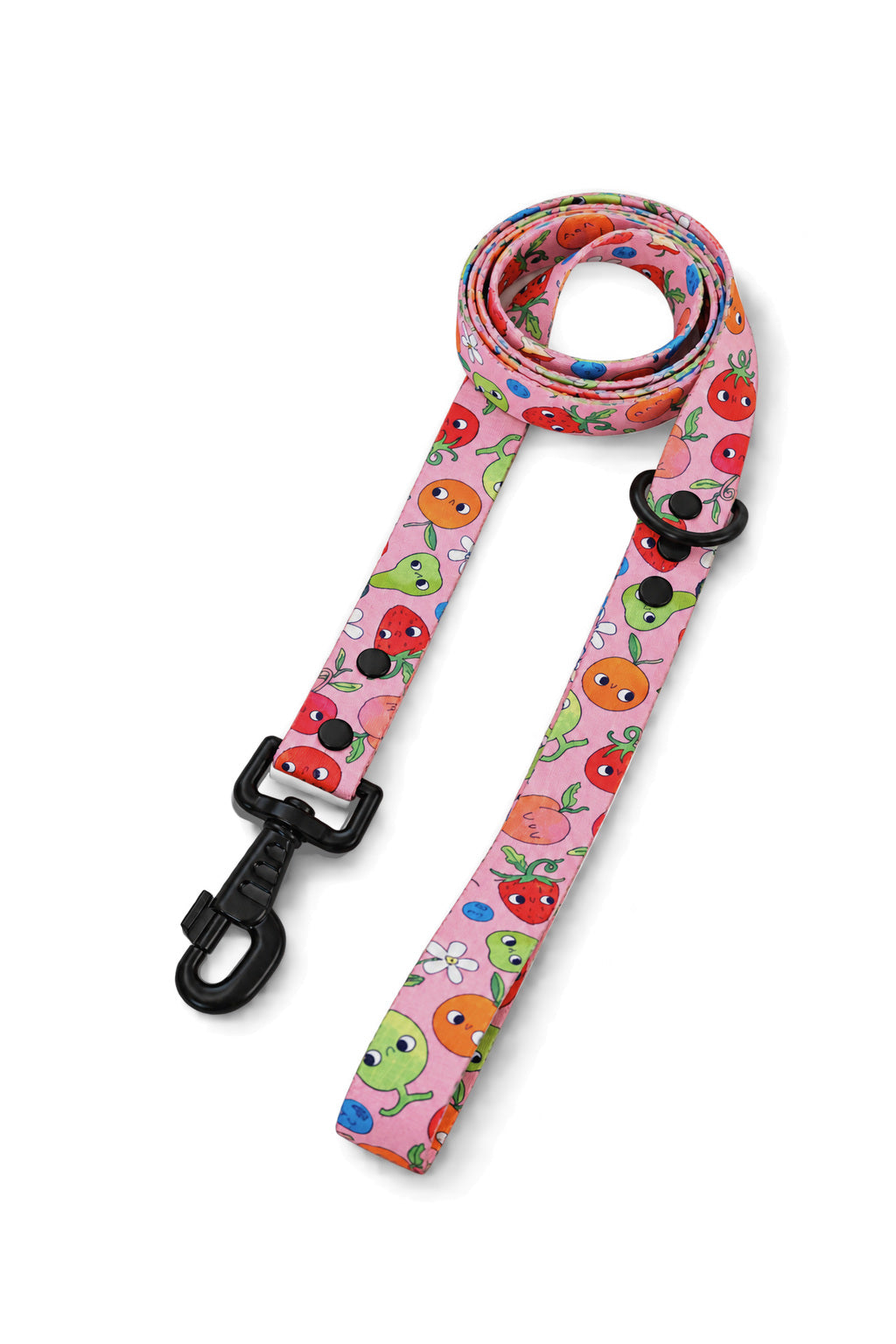 Sweet Tooth Dog Lead