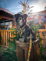 Capybara Christmas HARNESS - Mind The Fluff