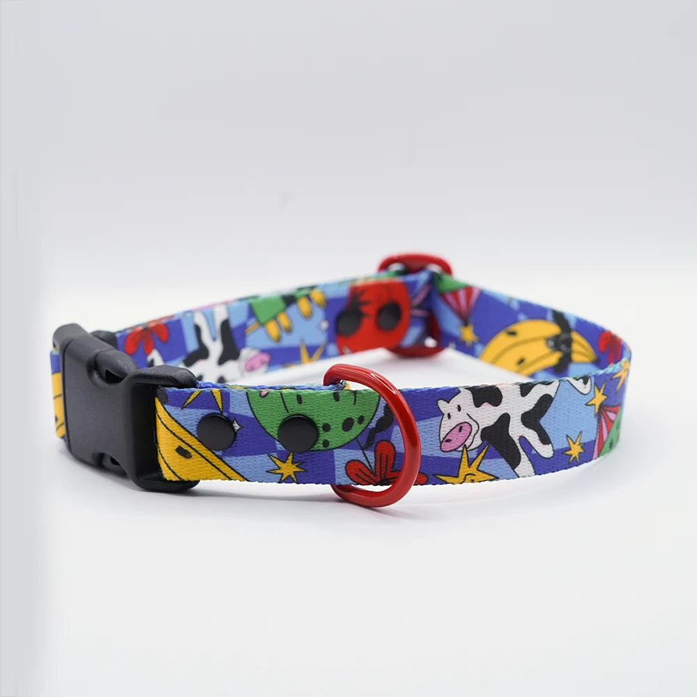 Holy Cow collar showing the buckle, adjuster and metal D-ring