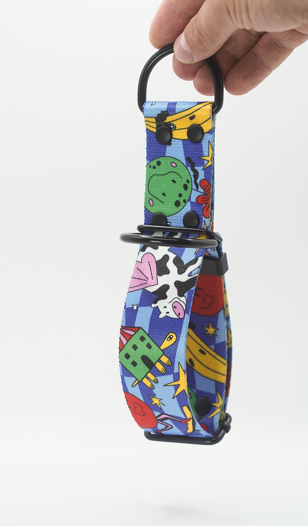 Supplied detail photograph of the Holy Cow martingale collar and its woven strap