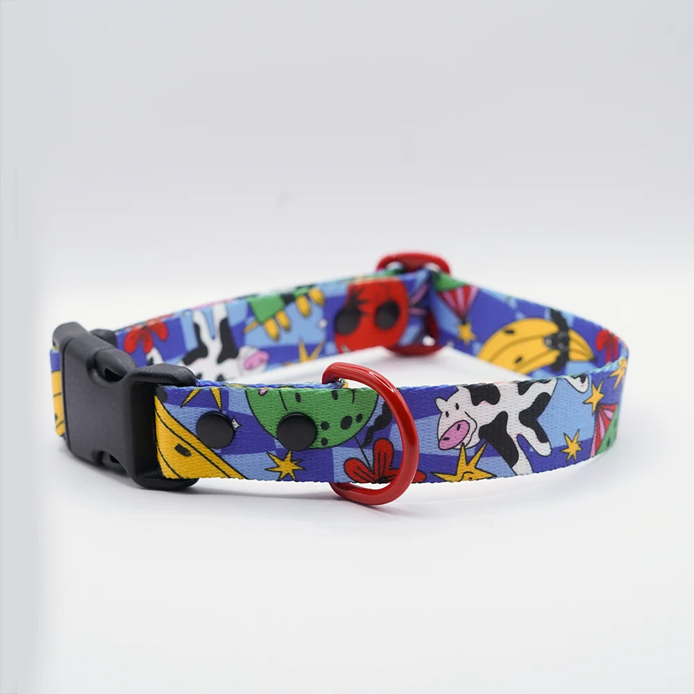 Holy Cow adjustable buckle collar with a black buckle and red D-ring
