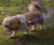 Full English Barkfast LEAD - Mind The Fluff