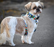 Gert Lush HARNESS - Mind The Fluff