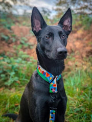 Gert Lush MARTINGALE COLLAR - Mind The Fluff