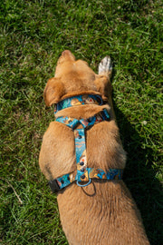 Hello From The Otter Side HARNESS - Mind The Fluff