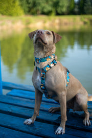 Hello From The Otter Side HARNESS - Mind The Fluff