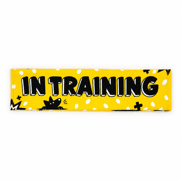 Yellow In Training dog lead sleeve with bold black lettering.