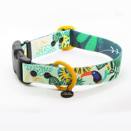 Jungle Boogie COLLAR - Mind The Fluff