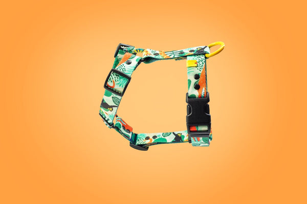 Jungle Boogie green printed dog harness on an orange background