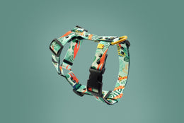 Jungle Boogie HARNESS - Mind The Fluff