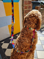 Kaleidogscope COLLAR - Mind The Fluff