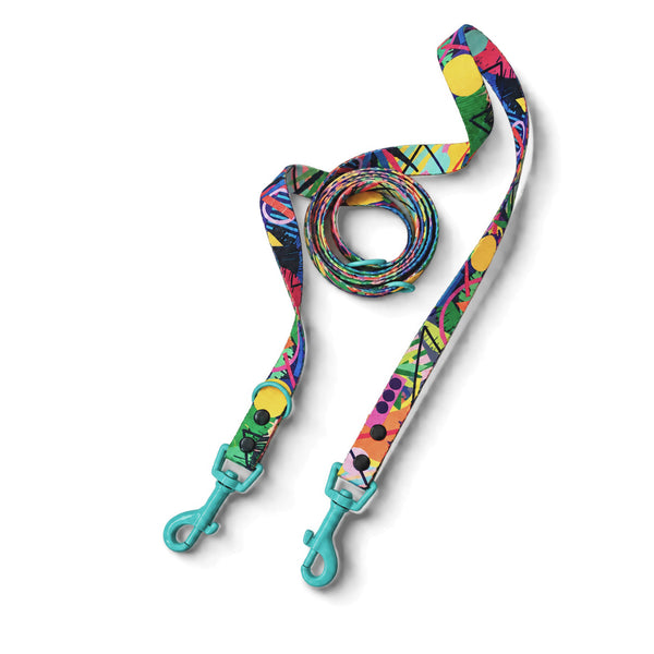 Kaleidogscope multicoloured double-ended dog lead with two turquoise clips