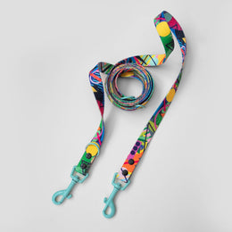 Kaleidogscope DOUBLE CLIP LEAD - Mind The Fluff