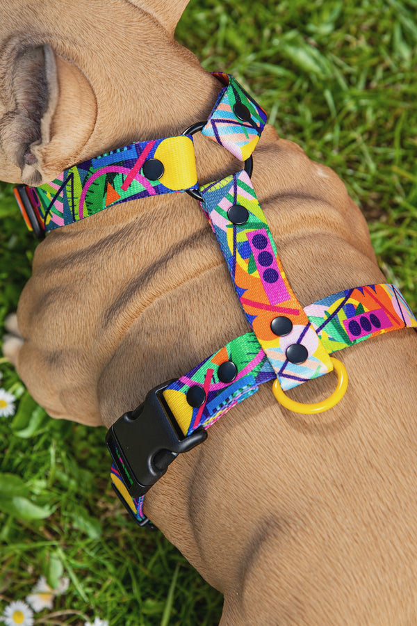 Back view of a Kaleidogscope geometric-print harness with yellow D-ring on a dog mannequin